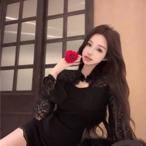 Lace Long Sleeve Bodycon Dress Women's New Elegant Slimming Hip Hugging Sexy Dress